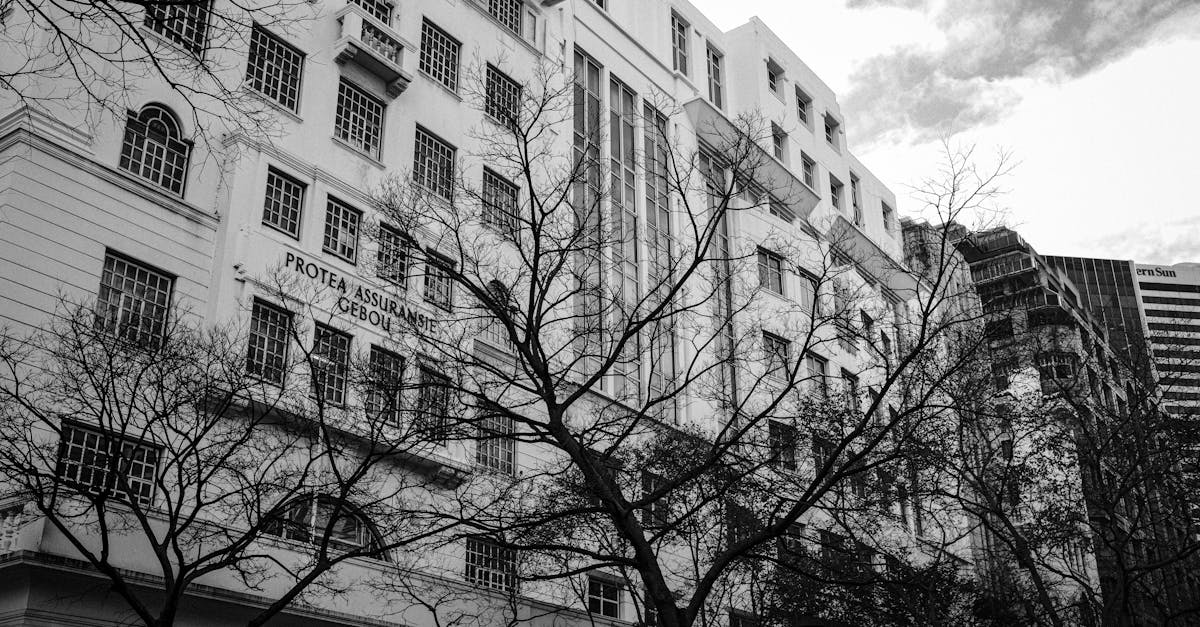 Comprendre la PIC : Un Géant Institutionnel au Cœur de l'Économie Sud-Africaine